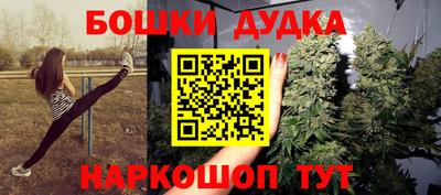 МДПВ Будённовск