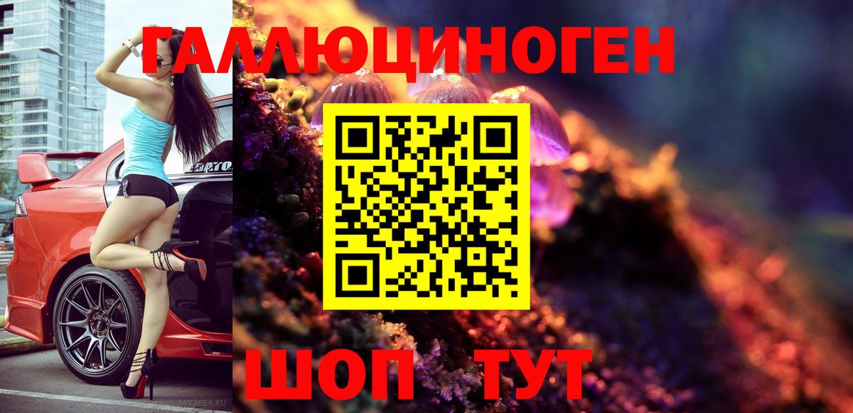 Советск  Псилоцибиновые грибы прущие грибы  сколько стоит  Вход с VPN 