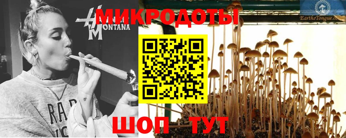 Псилоцибиновые грибы Psilocybine cubensis Советск