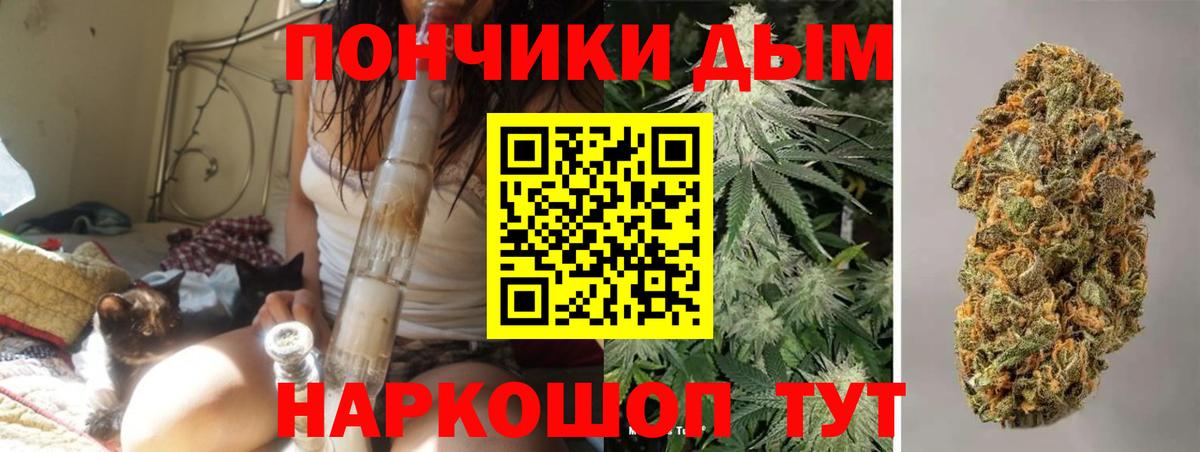 Шишки марихуана планчик  Канабис планчик  Советск  Вход с VPN 
